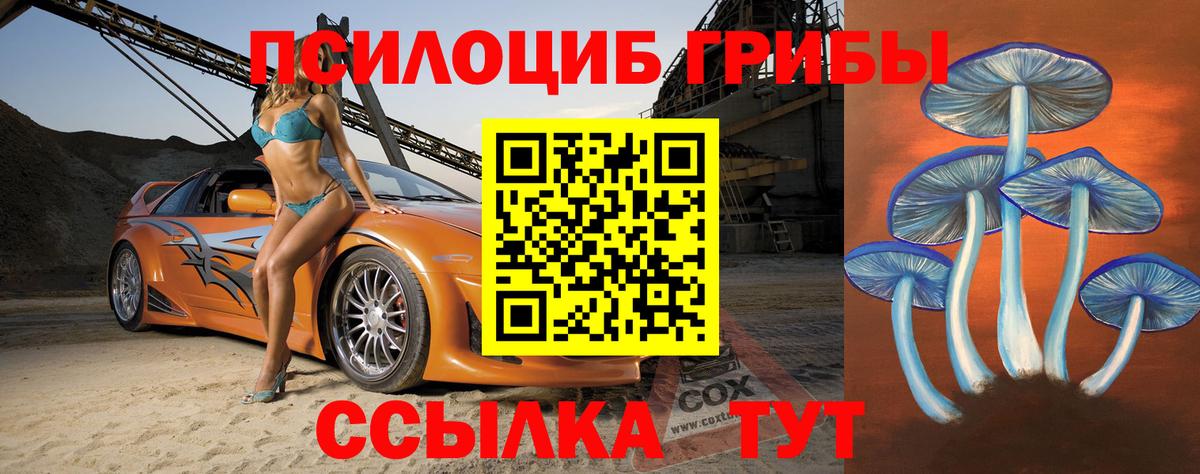 Заинск  Галлюциногенные грибы GOLDEN TEACHER  Вход с VPN  Галлюциногенные грибы Psilocybe 